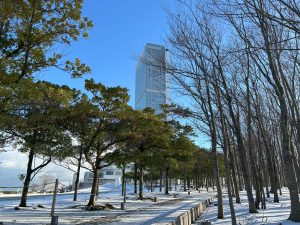 東京都環境局主催　「令和6年度冬季ＶＯＣ対策セミナーのオンライン開催について」お知らせ